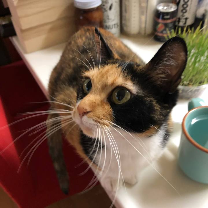 7426b57c 84b7 4177 9415 8e855f181208 1540037852545