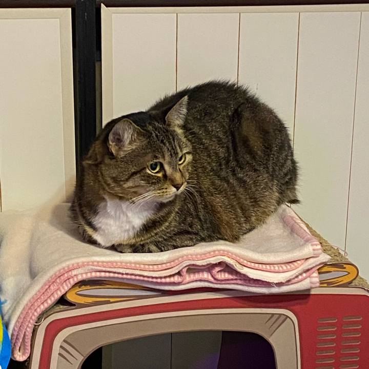 7427a1b2 2d2e 460d 91f5 ae4392427bd7 1638974229522