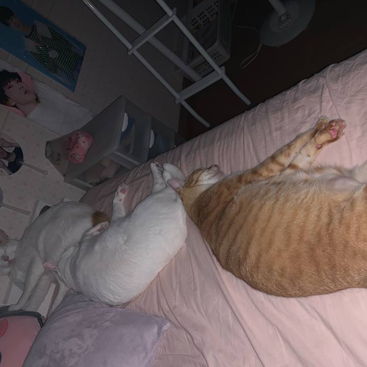 7427df68 2fff 4a03 af5f 518986fd3f28 1562861437206