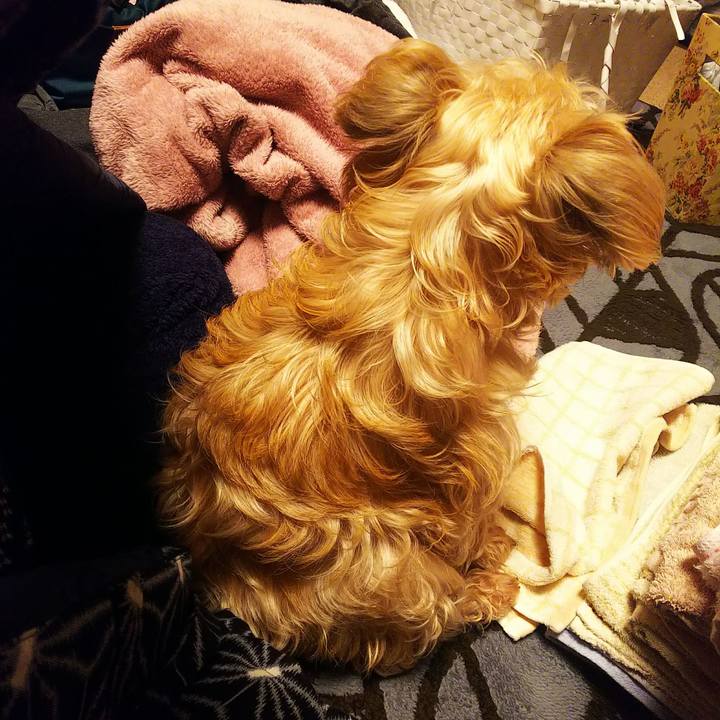 7427e4af 0f32 47a7 a5d8 7f1c055bd1d3 1548327348534