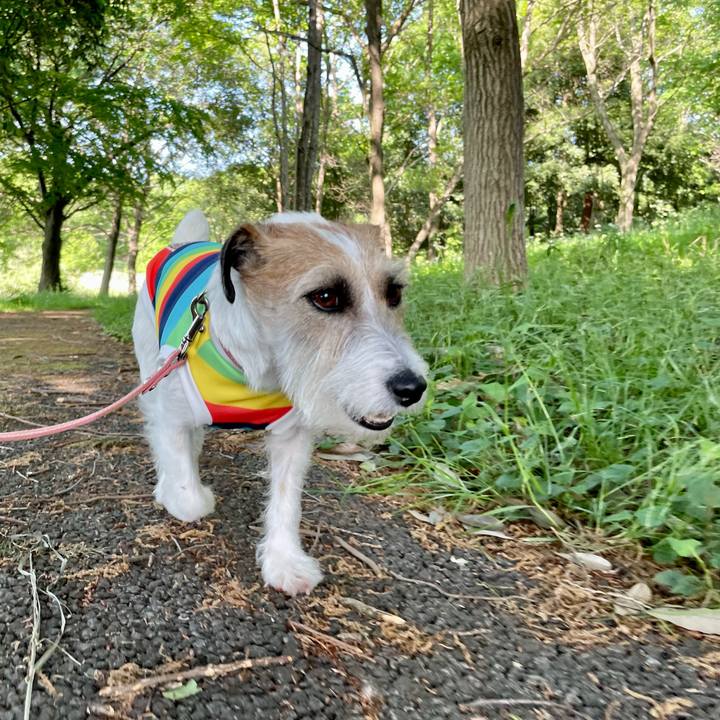 7427eb9f ae0c 4781 a3da 6ec26ea970fe 1682923805176