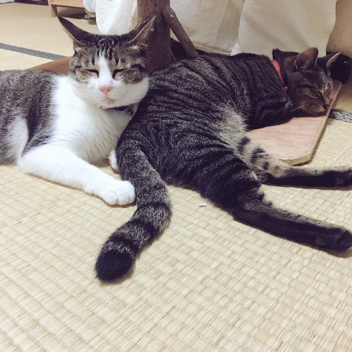 7427ee11 e8ef 42d4 b0c9 381e37229344 1532822042919