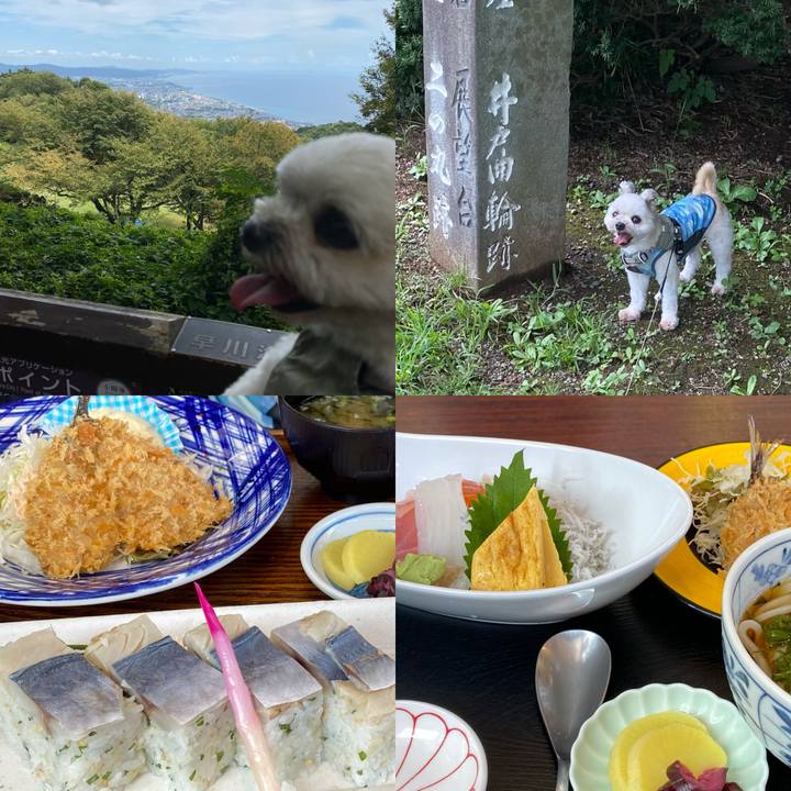 7427f56b 3384 4e2d aef4 b94d1ac9c11d 1694332375890