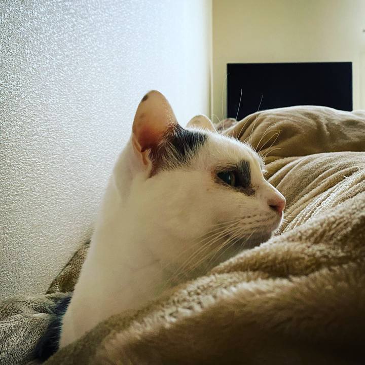 74280fae a46e 4677 8a4d 2c0dddb63901 1620321474250