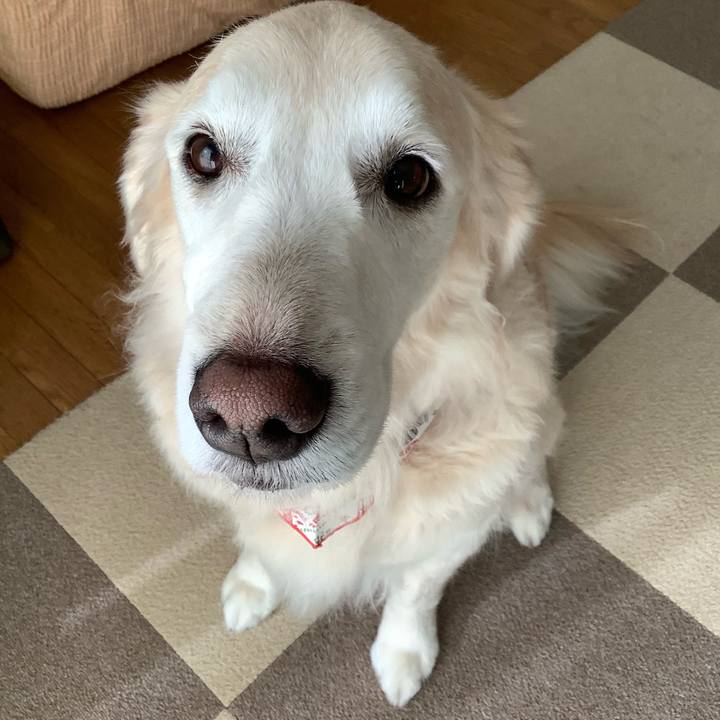 74281365 f076 4a16 95f0 bb9fefa14080 1669952091634