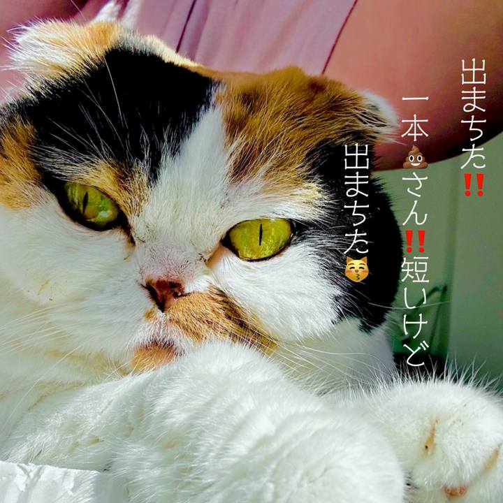 7428154b 5276 43d7 8068 efcee0af22d7 1727652432616