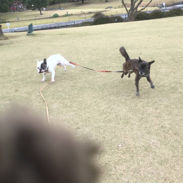 74283d6a d647 4995 b43a b1fe9c5de02d 1544409300717