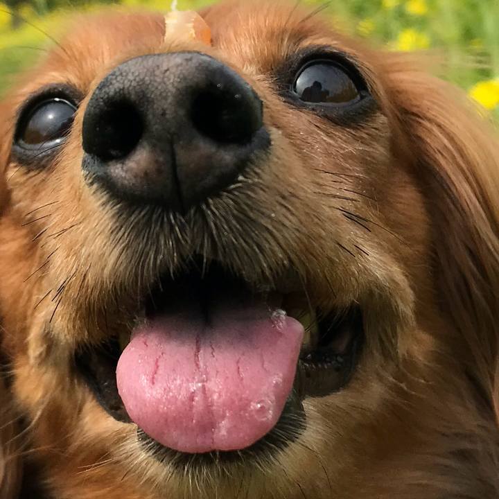 74283f3a 0392 4baa 893d 0418cdb225be 1527886338082