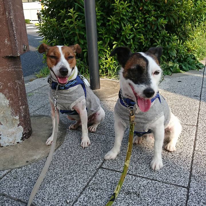 74284d09 ff73 4134 a5aa 4c1f266a2e3a 1564869783326