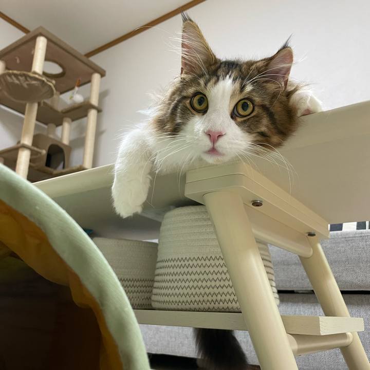 74284db6 02e5 4341 9bac b3b15f6fccc1 1642153219173