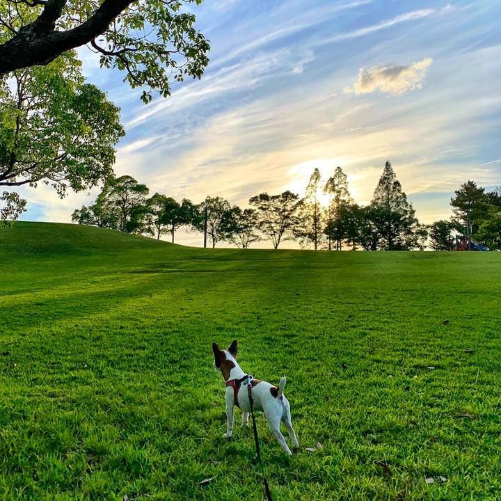 742868f6 c2ec 487a 93f5 4eeb485fd473 1559996258692