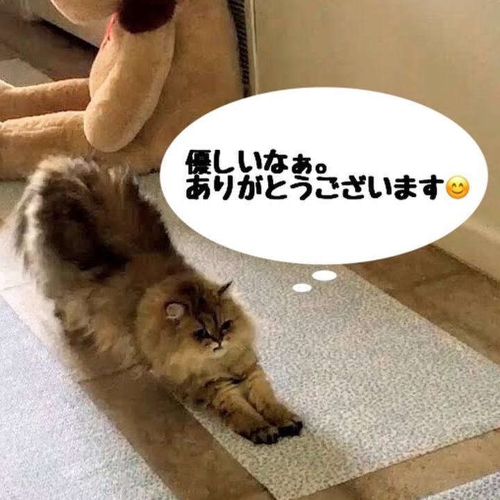 74288e61 ee21 4903 afec 6eb750dbc203 1525497157843