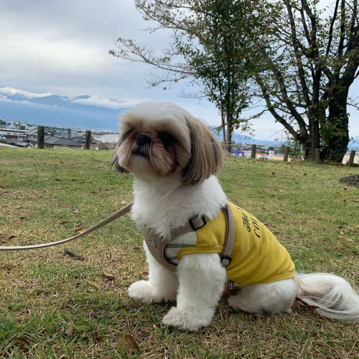 7428b611 9f23 431e a512 95c5767620fe 1603009162401