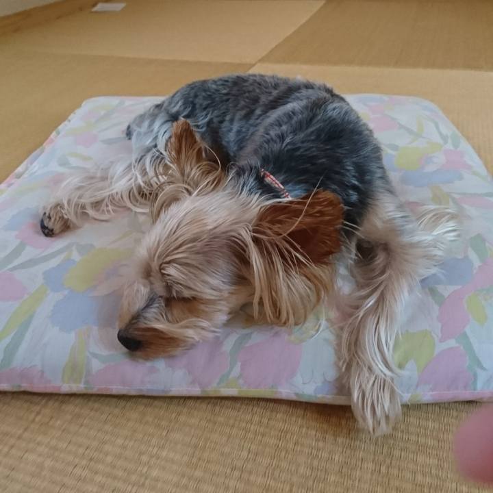 7428e193 bc92 4cd8 b3f3 c471f82674c9 1533178381977