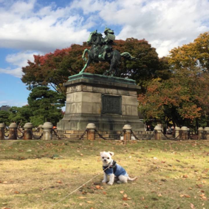 7428e757 923a 4962 8d4a 312372451435 1510397240087