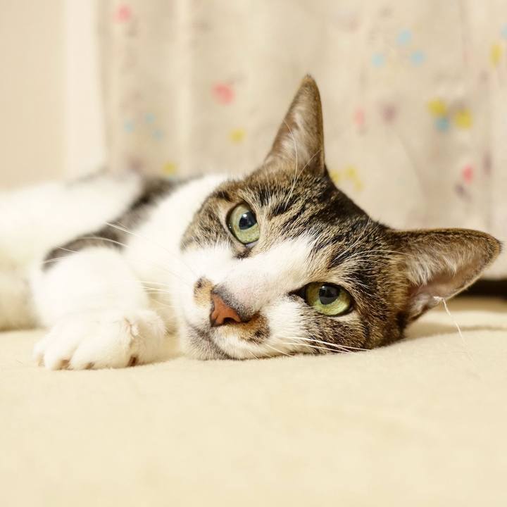 742900a6 3d65 4471 8a97 c9fb3c5e2ec5 1773368393781