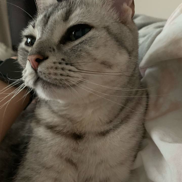 74295a31 5091 4d00 bf13 3e4cd94fab73 1620599996869