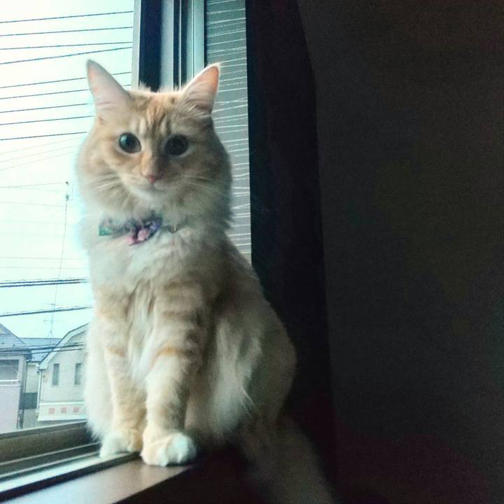 74296ee9 a8fc 4faa 80d8 9e4a4c301a9e 1631655371725