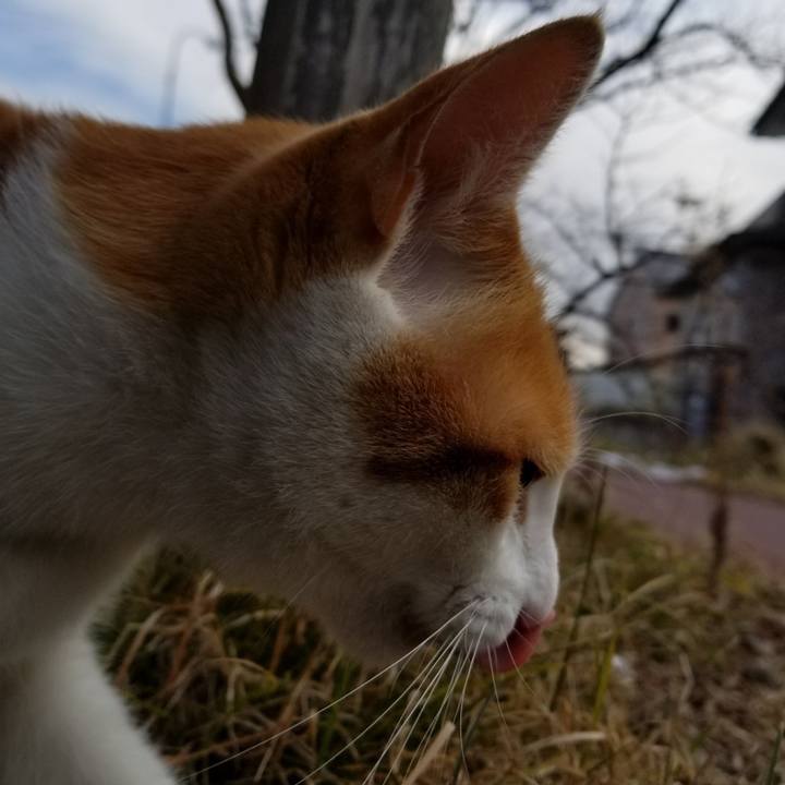 7429b113 3d37 4d63 9311 711ff6720efb 1515395728158