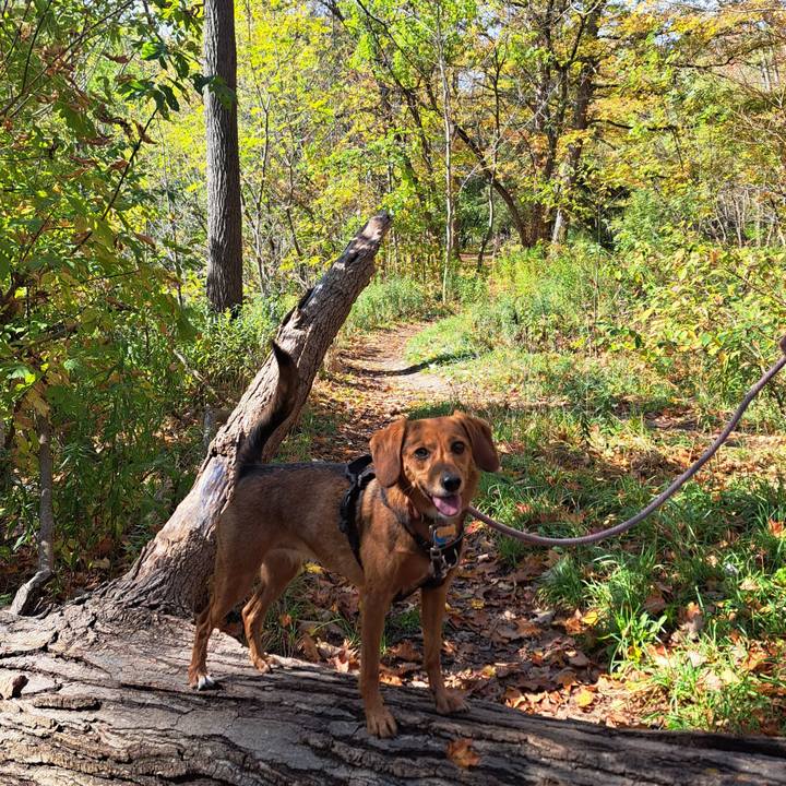 7429b268 75e8 41b0 ad10 2d6763ee16dc 1760220542283