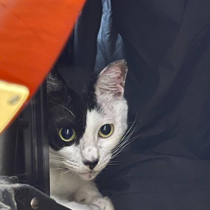 7429b5bb e651 46b0 88d5 e1d3bcbbef7b 1757810434764