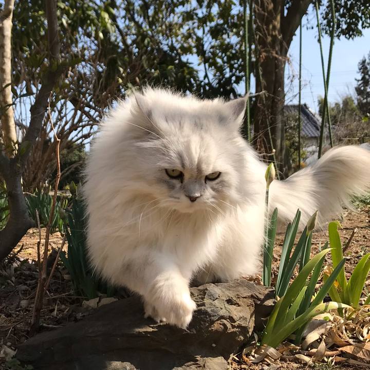 7429cadf 24ec 4f53 b1cf 9a5ce69d7ce0 1583147175978