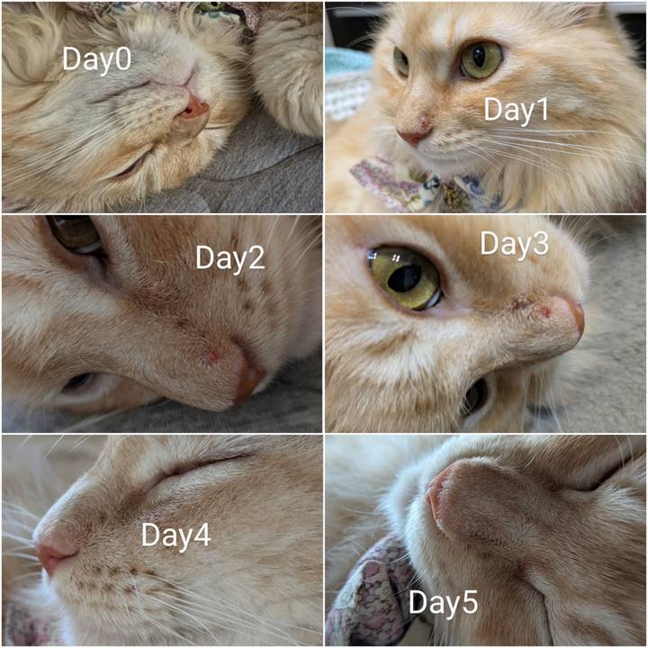 7429ee80 f989 43c5 978e 73c9f8db5ffb 1759981000967