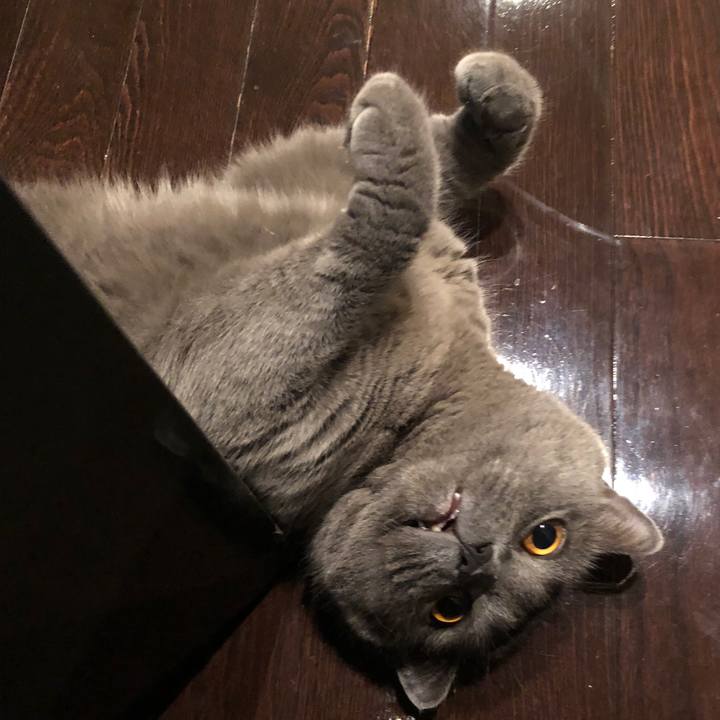 742a1dd1 4a36 47b6 9bcf d06216f2a458 1538733474131