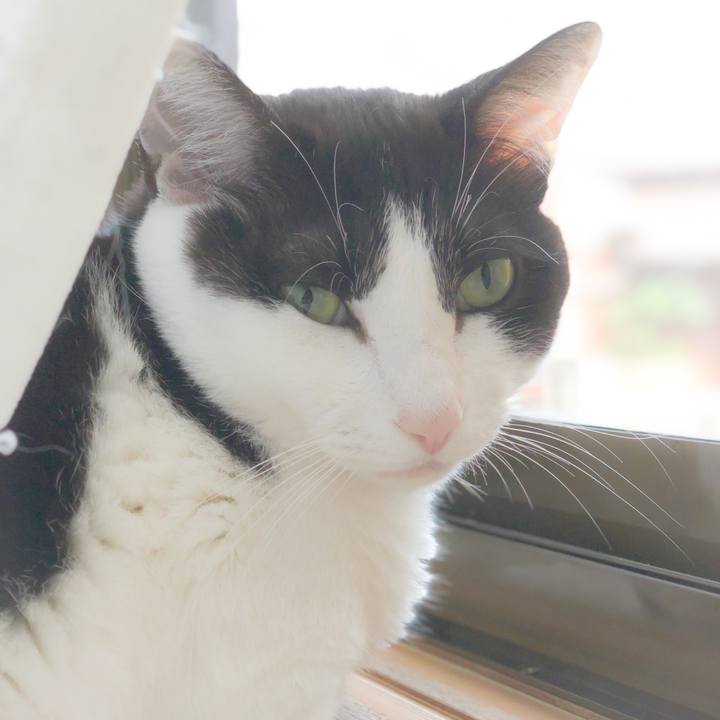 742a9b1a b03b 4feb a8f7 b992ffd5c1f5 1558144240210