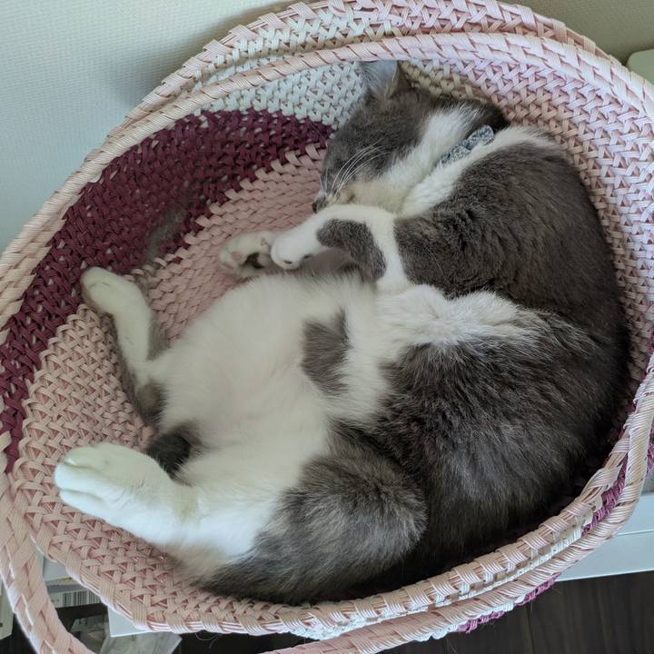 742ac125 6e6a 43f4 8233 0e312a228828 1758073153771