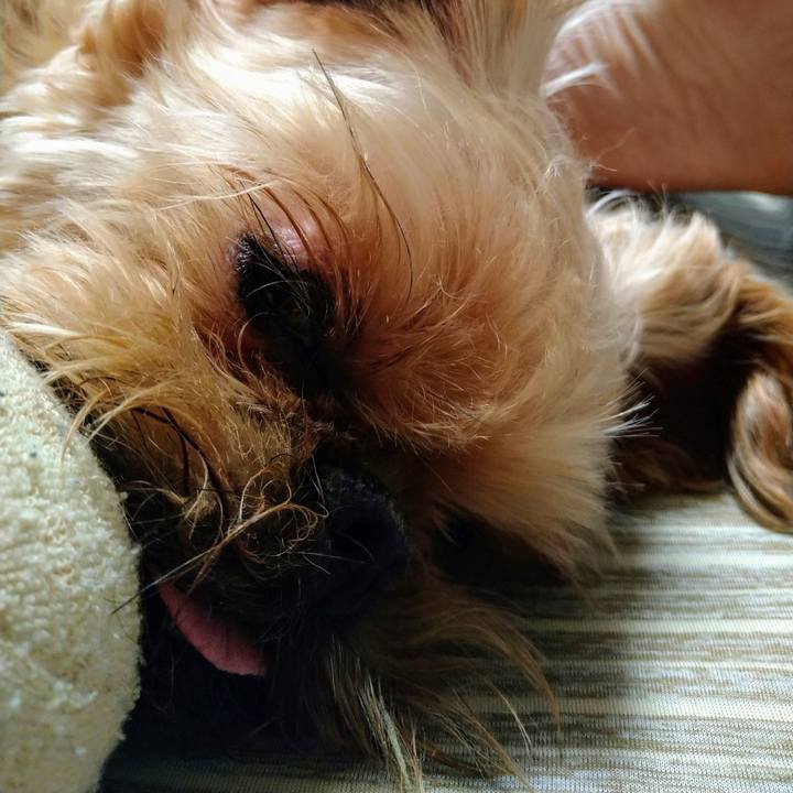 742aed1d f957 4143 89b7 d06b69c1ba19 1628301867765