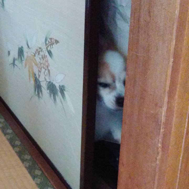 742af046 d779 4fd1 8c34 dd95357e6364 1534508710732