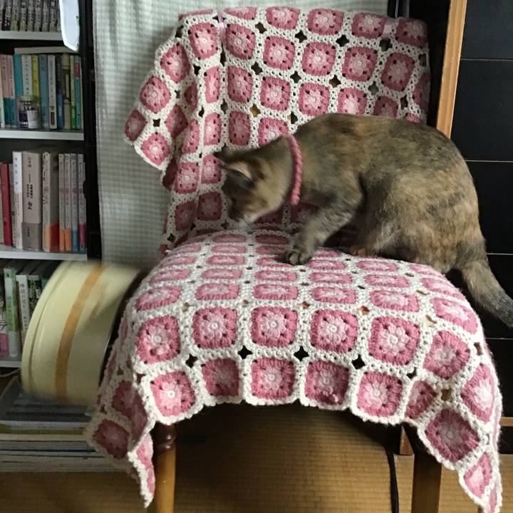 742b3ce7 44be 47ab aefa c60e591b4e2f 1592526052974