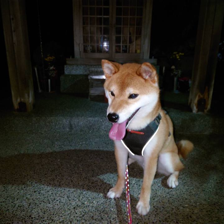 742b43b4 4f10 4171 ab83 2f3837de549c 1756936634380