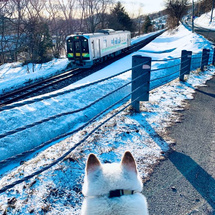 742b4c6a fe20 4122 9a66 985b69fa7421 1648849497660