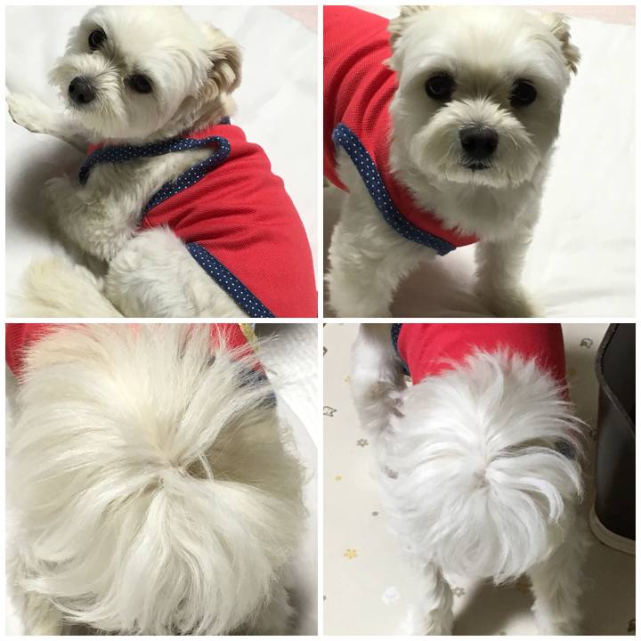 742b5bd0 25dc 4c81 a44f 79248538f07a 1527773790894