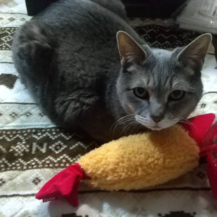 742b68fc 68ab 498e b619 0370d3b075c6 1761058536111