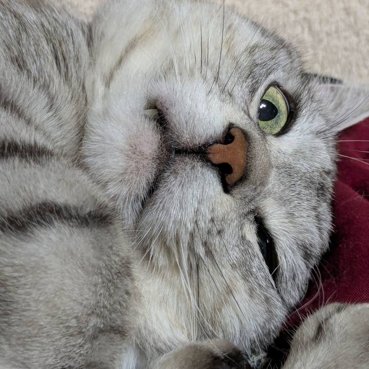 742ba2f0 5ee9 4e34 83a4 0019c1945403 1737297223498