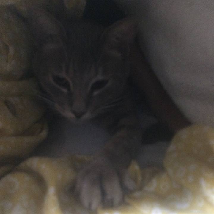 742bb94a 5c5e 4c53 bbb7 2047cf67b5ab 1546210226002