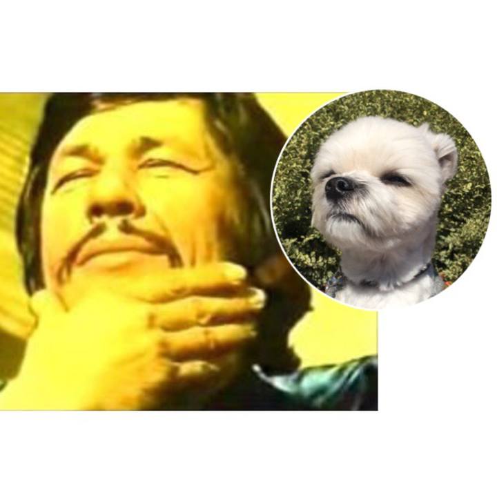 742be1e2 a5bd 4a03 af6b ed0dfe6deaf7 1536145620266