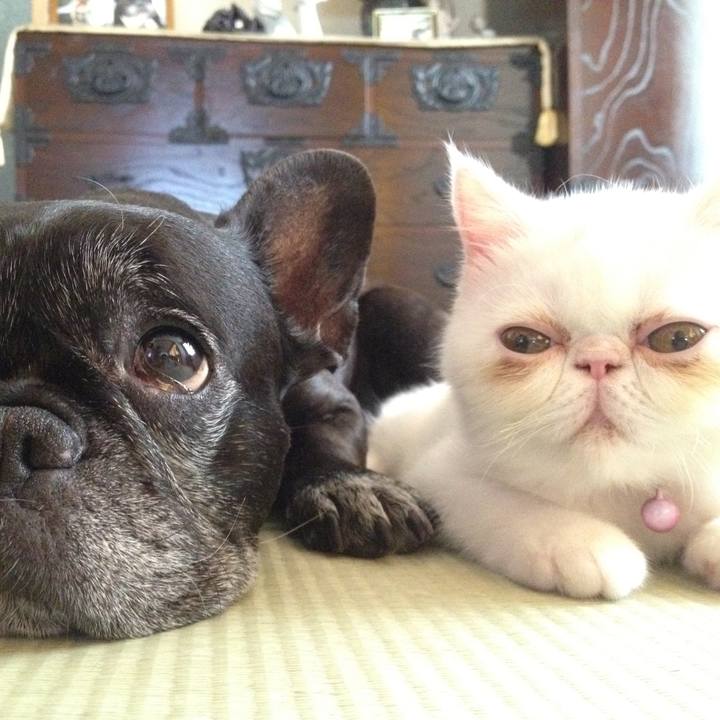 742c361f 9e72 45c9 9dde 262d71966891 1680090736289