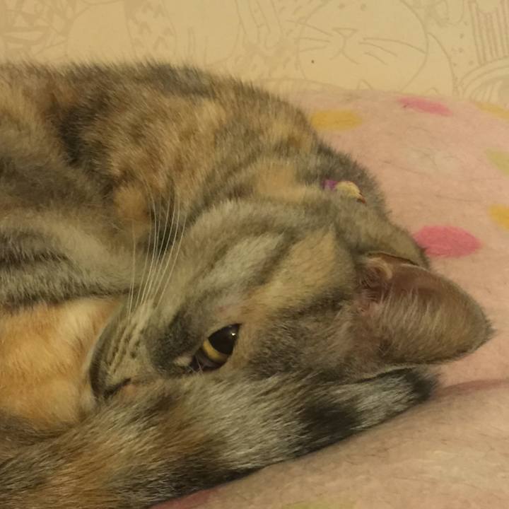 742c6303 bcc1 4e19 9180 7efcf5e0136e 1551193960004