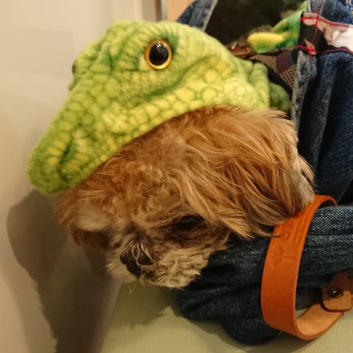 742ca6cf fcdf 4f9d 80e7 93fe56b7642d 1523715237648