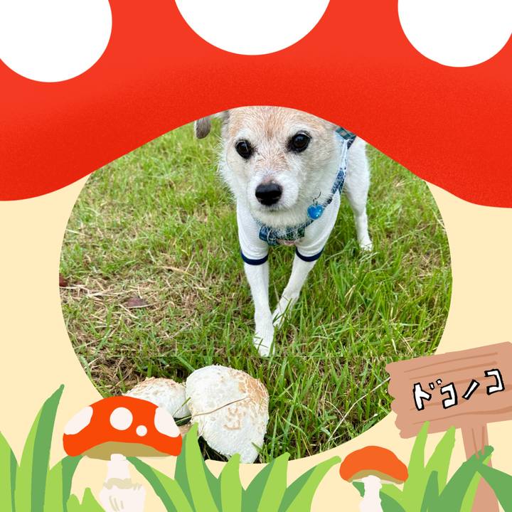 742ce16a 65a7 4b84 818b 3773a9702882 1729299607520