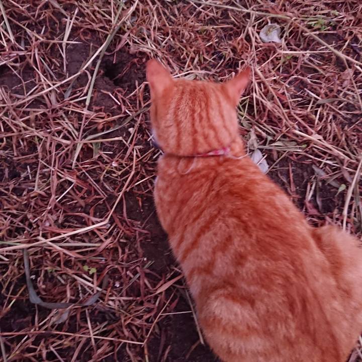 742cff15 019e 4c1d 9d1a 5d315ec9aa10 1565948934339