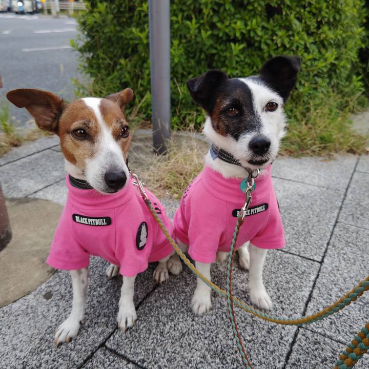 742d3736 5351 472f bf96 f900798bbca5 1730412452298