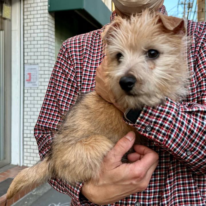 742d9a3c 4cbd 452a 8a1e 520ca78ac2cd 1703381270682