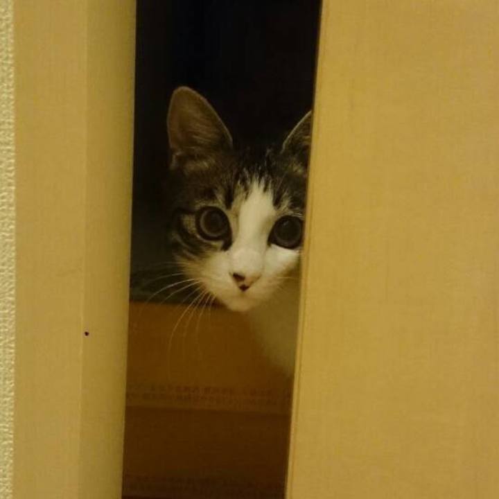 742d9b75 9585 4dda bcaa 2930ca507f81 1608683741662