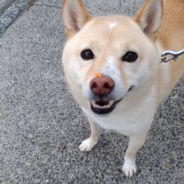 742dab5a 787c 4955 be13 e8c75679b2a6 1601936041934