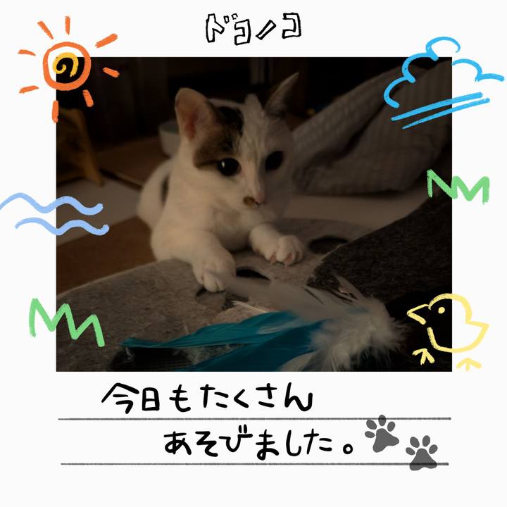 742db1cb c919 40c3 b4f8 2c6745d99485 1755277307855